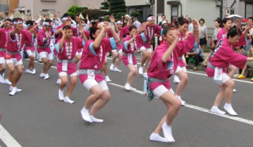 新座市阿波踊